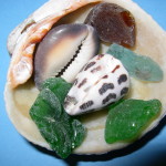 Wake shells and sea glass